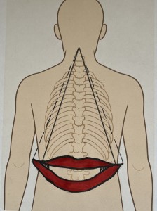 De lachende rug